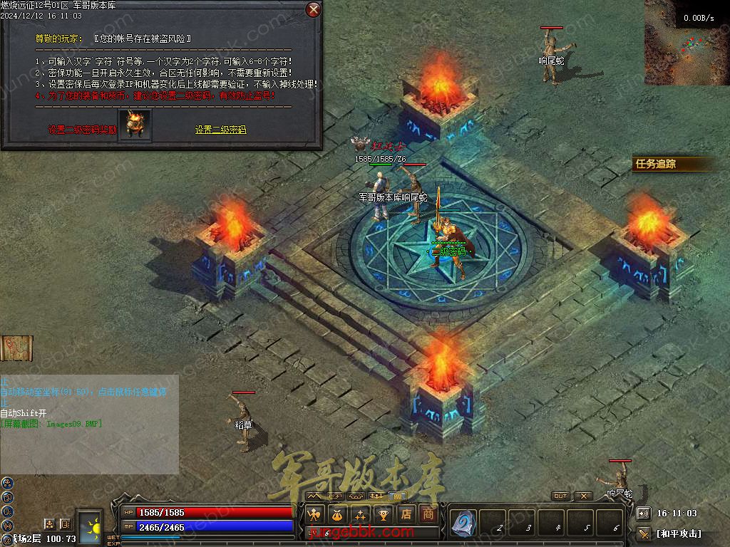 图片[44]-燃烧远征七职业九种族特色暗黑服务端-时装首饰-自动回收-卡牌激活_翎风引擎