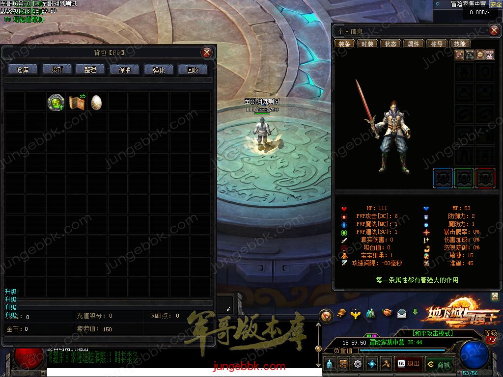 图片[4]-暗黑地下城与勇士专属神器三职业传奇服务端-智能假人-自动回收-自动拾取_翎风引擎