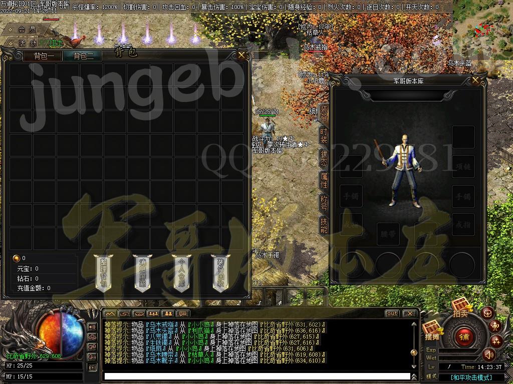 图片[4]-独家万道轮回暗黑三职业18大陆专属客户端-带光柱-宠物合成-自动回收_V8M2引擎